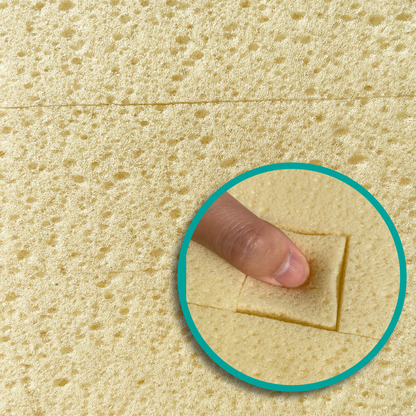 【再入荷】EASY ROLLER イージーローラーミニ